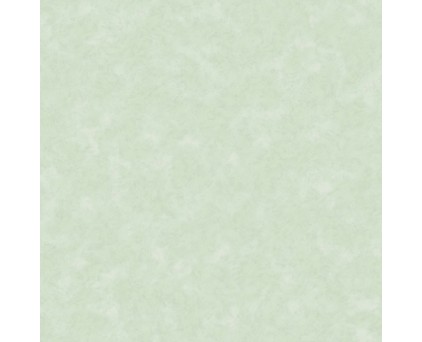 Обои однотонные зелёные Антураж винил Aspen арт. 168533-05