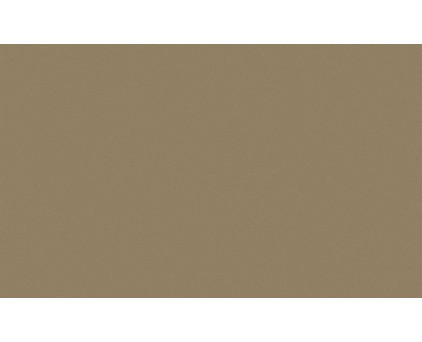 Обои виниловые коричневые однотонные Антураж Shine арт. 168435-02